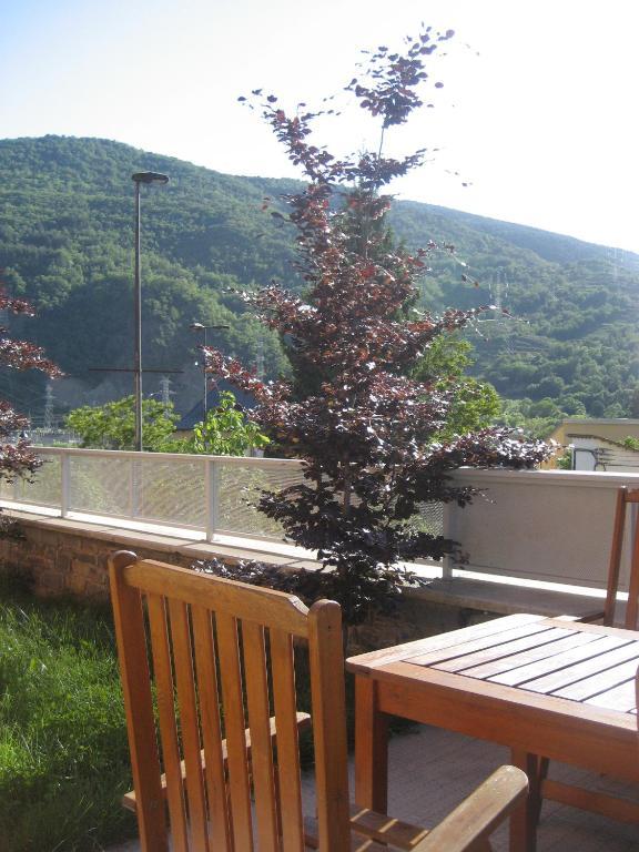 La Faiada Apartment El Pont de Suert Cameră foto