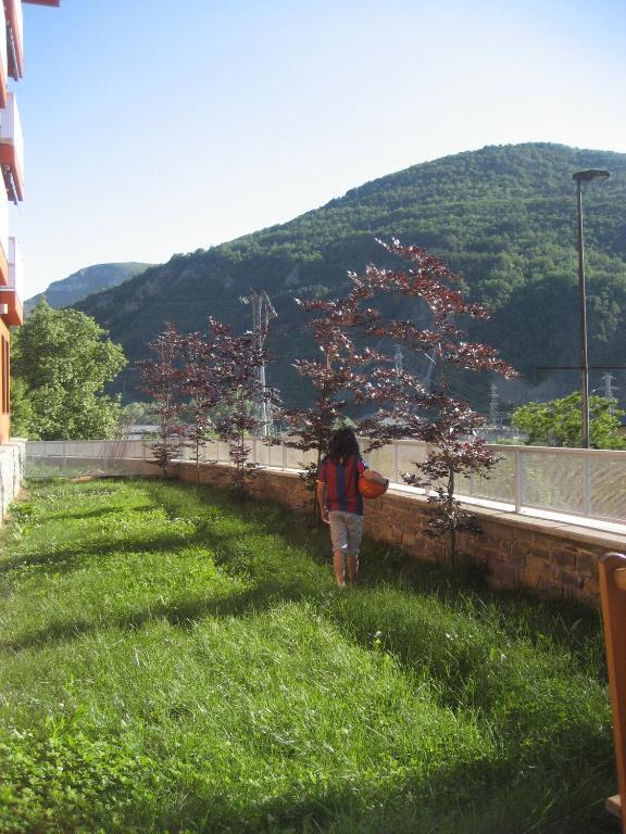 La Faiada Apartment El Pont de Suert Cameră foto
